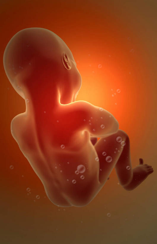 一个人,竖图,插画,室内,特写,白天,正面,数码,科技,仅一个人,阴影,网络,高光,几何,计算机图形,合成,图画,画,生长,成长,电脑合成图,数码合成图,胎儿,发育,漫画,孕育,写实,具体,具象,羊水,彩图,全身,胚胎