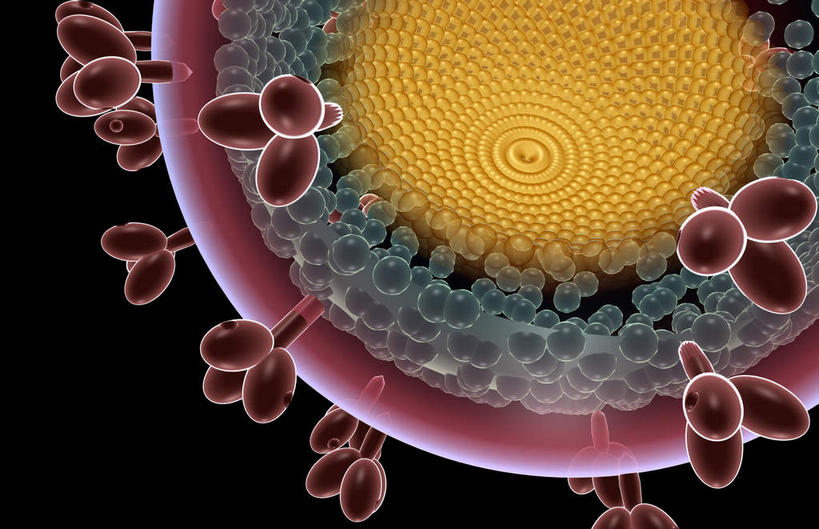 无人,横图,插画,室内,特写,白天,正面,数码,科技,静物,阴影,黑色背景,科学,网络,基因,细胞核,医学,染色体,细胞,高光,几何,计算机图形,合成,图画,画,生物,人体,遗传,电脑合成图,数码合成图,疾病,生物学,脱氧核糖核酸,蛋白质,艾滋病,漫画,生理学,写实,具体,具象,传染,传染病,DNA分子,核糖核酸,后天性免疫缺陷症候群,获得性免疫缺陷综合症,流行症,慢性病,去氧核糖核酸,染色质,遗传信息,遗传因子,遗传学,致命,彩图,感染