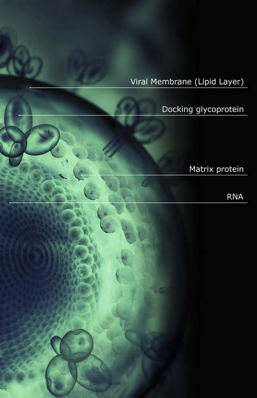 无人,竖图,插画,室内,特写,白天,正面,数码,科技,静物,阴影,黑色背景,科学,网络,基因,细胞核,医学,染色体,细胞,高光,几何,计算机图形,合成,图画,画,生物,人体,遗传,电脑合成图,数码合成图,疾病,生物学,脱氧核糖核酸,蛋白质,艾滋病,漫画,生理学,写实,具体,具象,传染,传染病,DNA分子,核糖核酸,后天性免疫缺陷症候群,获得性免疫缺陷综合症,流行症,慢性病,去氧核糖核酸,染色质,遗传信息,遗传因子,遗传学,致命,彩图,感染