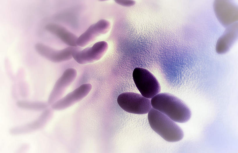 无人,横图,插画,室内,特写,白天,白色背景,正面,数码,科技,静物,阴影,科学,网络,基因,细胞核,医学,染色体,细胞,高光,几何,计算机图形,合成,图画,画,生物,人体,遗传,电脑合成图,数码合成图,生物学,脱氧核糖核酸,蛋白质,漫画,生理学,写实,具体,具象,DNA分子,核糖核酸,去氧核糖核酸,染色质,遗传信息,遗传因子,遗传学,彩图