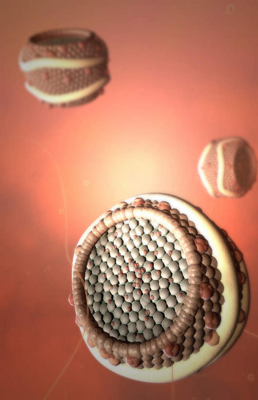 无人,竖图,插画,室内,特写,白天,正面,数码,科技,静物,阴影,黑色背景,网络,医学,细胞,高光,几何,计算机图形,合成,图画,画,人体,电脑合成图,数码合成图,生物学,漫画,生理学,写实,具体,具象,胆固醇,低密度脂蛋白,脂蛋白,彩图