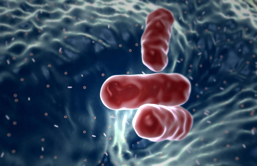 无人,横图,插画,室内,特写,白天,白色背景,正面,数码,科技,静物,阴影,网络,医学,细胞,高光,几何,计算机图形,合成,图画,画,人体,电脑合成图,数码合成图,生物学,漫画,生理学,写实,具体,具象,大肠杆菌,彩图