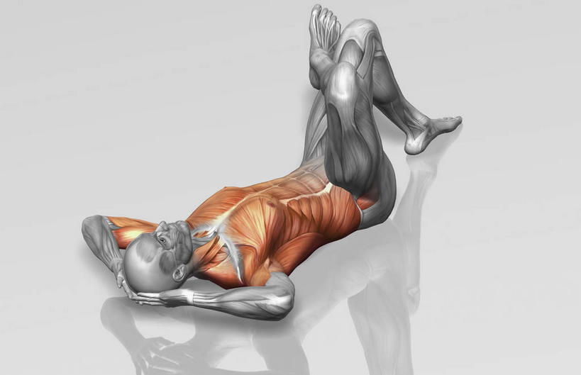 西方人,动脉,静脉,骨骼,肌肉,健壮,一个人,无人,健身房,躺,仰卧起坐,横图,俯视,插画,室内,特写,白天,白色背景,数码,科技,静物,欧洲,欧洲人,仅一个男性,仅一个人,阴影,网络,医学,骨头,高光,几何,计算机图形,合成,图画,画,仅一个年轻男性,模型,健康,活力,力量,人体,青春,电脑合成图,数码合成图,骨架,双手抱头,生物学,强壮,手抱头,胸肌,漫画,生理学,写实,具体,具象,背阔肌,三角肌,胸锁乳突肌,腹外斜肌,腹直肌,卧着,男人,男性,年轻男性,白种人,躺着,卧,仰卧,彩图,高角度拍摄,全身,健身馆