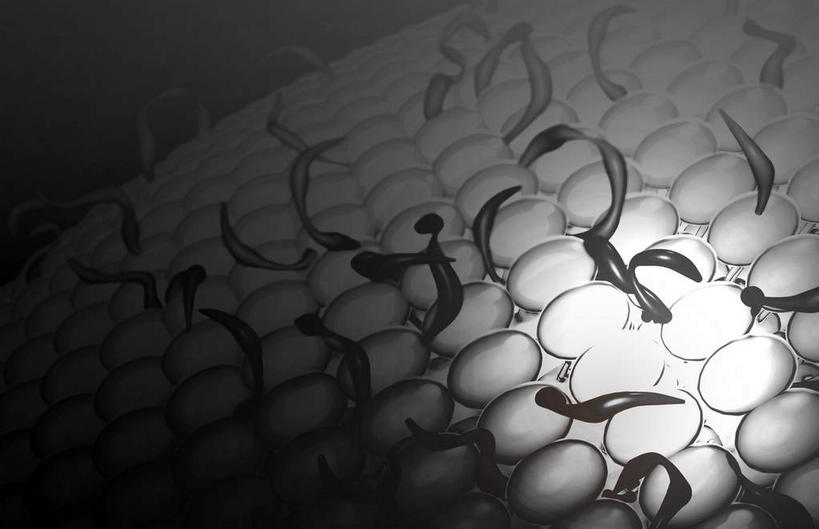 无人,横图,黑白,插画,室内,特写,白天,正面,数码,科技,静物,阴影,黑色背景,网络,医学,细胞,高光,几何,计算机图形,合成,图画,画,人体,电脑合成图,数码合成图,生物学,漫画,生理学,写实,具体,具象,细胞膜,磷脂双分子层,糖脂,双层类脂膜