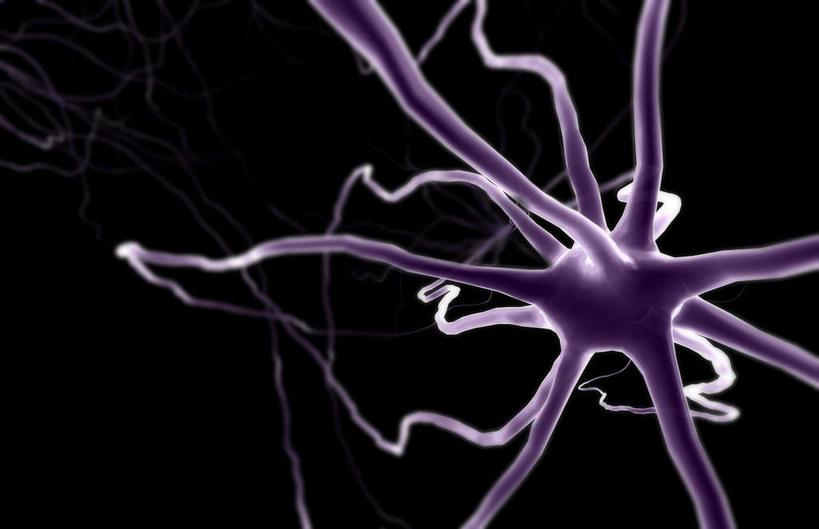 无人,横图,插画,室内,特写,白天,正面,抽象,数码,科技,静物,阴影,网络,医学,细胞,高光,几何,计算机图形,合成,图画,画,夸张,人体,电脑合成图,数码合成图,生物学,特效,漫画,生理学,深奥,神经细胞,神经传导,彩图,神经系统