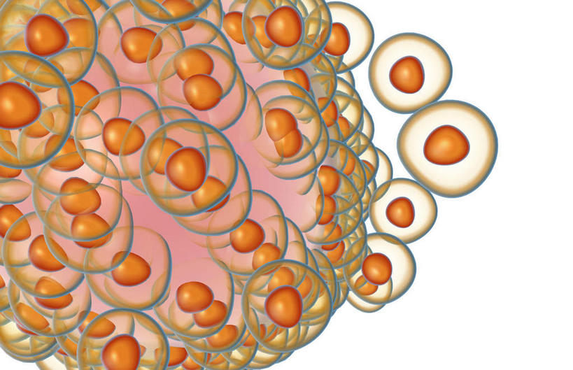 无人,横图,插画,室内,特写,白天,白色背景,正面,数码,科技,静物,阴影,网络,医学,细胞,高光,几何,计算机图形,合成,图画,画,人体,电脑合成图,数码合成图,生物学,漫画,生理学,卵细胞,写实,具体,具象,彩图