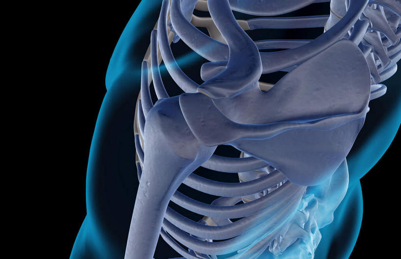 肩关节,肩胛骨,动脉,静脉,骨骼,关节,无人,横图,插画,x光片,室内,特写,白天,正面,数码,科技,静物,阴影,黑色背景,局部,辐射,科学,网络,医学,骨头,高光,几何,计算机图形,合成,图画,画,模型,人体,电脑合成图,数码合成图,骨架,医疗,生物学,科学技术,x射线,x光,韧带,漫画,生理学,写实,具体,具象,半身,彩图,电磁波,电磁辐射