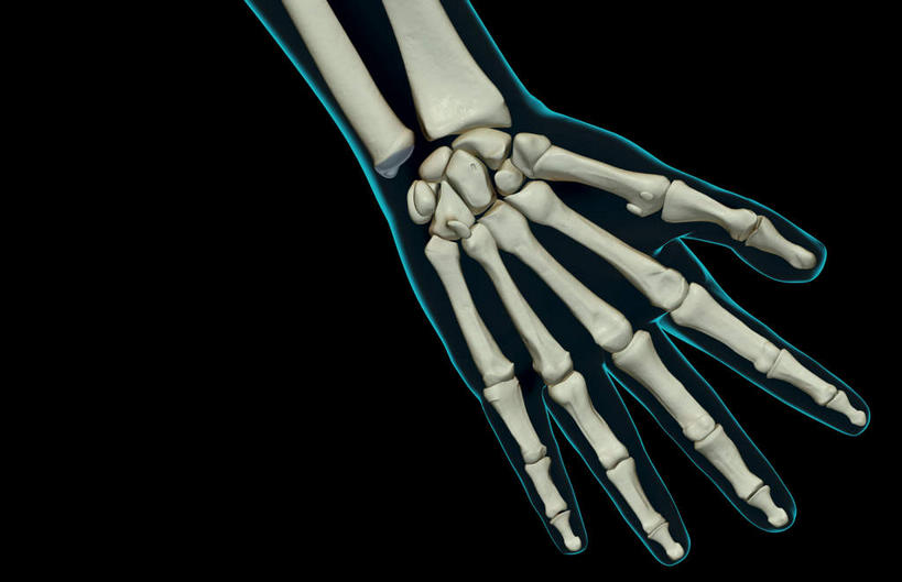 动脉,静脉,骨骼,无人,竖图,插画,x光片,室内,特写,白天,正面,数码,科技,静物,阴影,黑色背景,局部,辐射,科学,网络,医学,骨头,高光,几何,计算机图形,合成,图画,画,模型,人体,电脑合成图,数码合成图,骨架,医疗,生物学,科学技术,x射线,x光,漫画,生理学,写实,具体,具象,尺骨,桡骨,腕骨,指骨,手舟骨,钩骨,月骨,半身,彩图,电磁波,电磁辐射