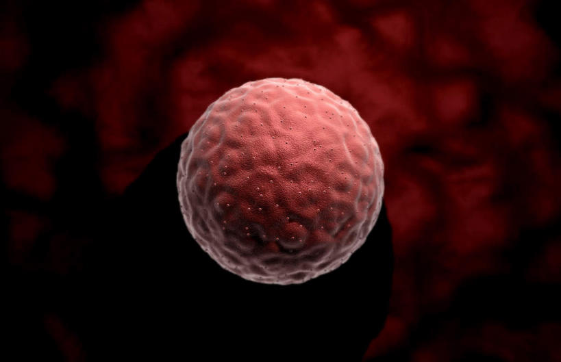 无人,横图,插画,室内,白天,正面,数码,科技,静物,阴影,科学,网络,医学,细胞,高光,几何,计算机图形,合成,图画,画,红色,怀孕,人体,电脑合成图,数码合成图,医疗,生物学,科学技术,人工受精,卵子,漫画,试管婴儿,生理学,写实,具体,具象,胚泡,彩图,体外受精,体外受孕