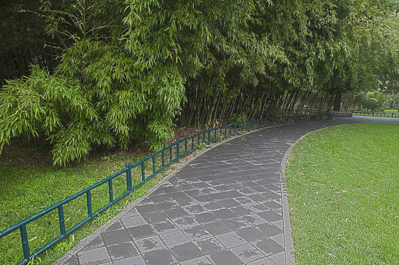 无人,公园,栏杆,横图,室外,白天,正面,旅游,度假,纯洁,草地,草坪,美景,植物,道路,路,竹子,北京,中国,亚洲,景观,竹林,围栏,小路,交通,首都,娱乐,护栏,草,绿色,自然,享受,休闲,景色,放松,高雅,自然风光,东亚,海淀区,中华人民共和国,北京市,京,北平,华北地区,奉献,质朴,正直,担当,竹,彩图,奋进,操守,四君子,岁寒三友,性坚,虚怀,虚心,善群,卓尔,中关村大街,中关村南大街,紫竹院公园