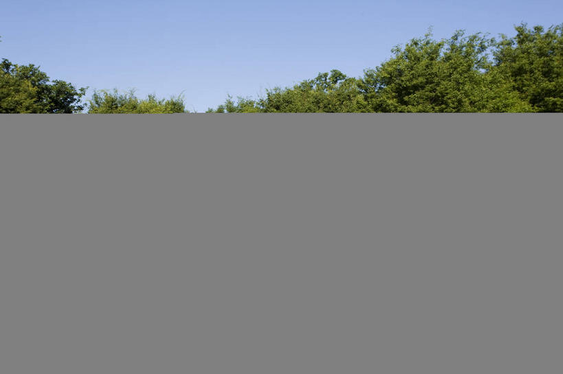 无人,横图,室外,白天,正面,旅游,度假,植物,标志建筑,地标,建筑,雕塑,美国,阴影,艺术,装饰,光线,雕刻,雕像,影子,首都,娱乐,建设,树,树木,蓝色,绿色,蓝天,天空,阳光,自然,工艺品,天,享受,休闲,旅游胜地,放松,生长,晴朗,成长,纪念,美术,北美,北美洲,主题,美洲,陈列,华盛顿特区,万里无云,华盛顿哥伦比亚特区,华府,功能,美学,北亚美利加洲,亚美利加洲,朝鲜战争纪念碑,朝鲜战争老兵纪念碑,晴空,晴空万里,彩图,美利坚合众国