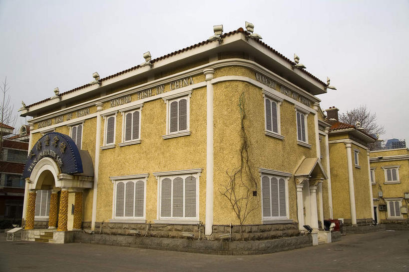 无人,家,横图,室外,白天,仰视,度假,美景,植物,别墅,窗户,门,城市风光,城市,道路,路,天津,中国,亚洲,一排,许多,整齐,并列,并排,房屋,墙,屋子,景观,乌云,云,阴天,云朵,公寓,小路,褐色,交通,很多,云彩,娱乐,洋房,楼房,玻璃窗,墙壁,墙面,住宅,树,树木,排列,绿色,天空,自然,门框,天,享受,休闲,景色,放松,生长,成长,昏暗,阴沉,队列,平行,东亚,中华人民共和国,华北地区,天津市,和平区,彩图,低角度拍摄,房子,津,天津五大道小洋楼,五大道