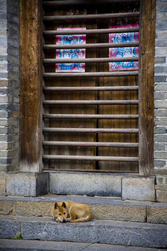 无人,家,栏杆,躺,竖图,室外,白天,正面,度假,绘画,美景,楼梯,城市风光,城市,宠物,狗,桂林,中国,亚洲,阴影,辟邪,艺术,光线,木制,影子,房屋,阶梯,墙,屋子,景观,围栏,古典,注视,文化,娱乐,护栏,楼房,门神,墙壁,墙面,台阶,住宅,一只,阳光,动物,木制品,工艺品,观察,看,品味,祈祷,享受,休闲,健康,景色,放松,可爱,许愿,观看,广西,祈求,美术,吉祥,察看,高雅,关注,国画,水墨画,东亚,忠诚,阳朔,广西壮族自治区,中华人民共和国,桂林市,桂,华南地区,美学,驱邪,祛邪,避邪,两幅,神灵,水墨,保护神,阳朔县,兴坪,兴坪镇,卧着,平安,犬,躺着,卧,彩图,全身,房子,年画,门神年画,中国画