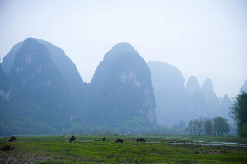 无人,横图,室外,白天,正面,旅游,度假,草地,草坪,石头,美景,日落,山,山脉,峡谷,植物,雾,桂林,中国,亚洲,朦胧,模糊,石子,景观,山峰,晚霞,霞光,落日,山谷,山峦,娱乐,草,树,树木,绿色,自然,黄昏,群山,享受,休闲,景色,彩霞,放松,生长,成长,广西,迷雾,岩层,自然风光,东亚,漓江,阳朔,广西壮族自治区,中华人民共和国,桂林市,桂,华南地区,夕照,薄暮,阳朔县,兴坪,兴坪镇,石块,岩石,大雾,夕阳,彩图,傍晚,斜阳,阳朔相公山