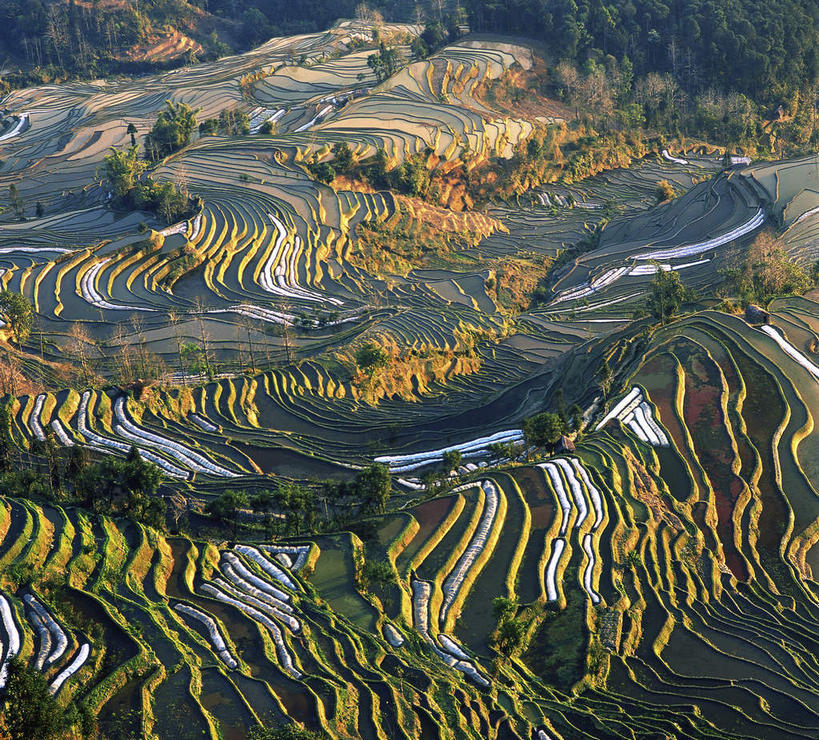 无人,农田,横图,俯视,航拍,室外,白天,旅游,度假,庄稼,梯田,农作物,河流,石头,美景,山,山脉,水,峡谷,中国,亚洲,阴影,曲折,弯曲,光线,纹路,石子,纹理,影子,河水,景观,山峰,水流,悬崖,山谷,山峦,娱乐,云南,阳光,自然,群山,享受,休闲,景色,放松,蜿蜒,岩层,鸟瞰,自然风光,东亚,元阳,云南省,肌理,中华人民共和国,西南地区,绝壁,滇,红河,红河州,红河哈尼族彝族自治州,哀牢山,元阳梯田,元阳县,石块,岩石,彩图,高角度拍摄,耕地,庄稼田,元阳哈尼族梯田