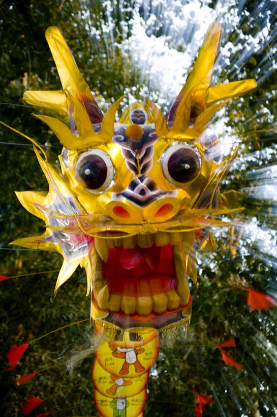 无人,竖图,室外,白天,正面,度假,美景,植物,城市风光,城市,中国,亚洲,表演,阴影,辟邪,朦胧,模糊,光线,纹路,纹理,影子,景观,文化,娱乐,树,树木,一个,舞龙,黄色,绿色,阳光,自然,祈祷,祈福,享受,休闲,健康,景色,放松,许愿,生长,单个,成长,祈求,东亚,肌理,中华人民共和国,驱邪,祛邪,避邪,平安,彩图,舞蹈,玩龙灯