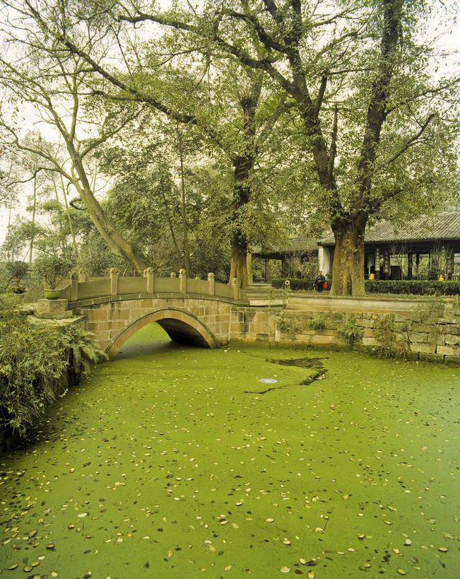 无人,栏杆,竖图,室外,白天,正面,旅游,度假,河流,美景,水,植物,桥梁,中国,亚洲,河水,景观,水流,乌云,云,阴天,云朵,围栏,桥,浮萍,云彩,娱乐,石桥,护栏,拱桥,树,树木,绿色,天空,自然,天,享受,休闲,景色,放松,拱形,生长,成长,人行桥,石拱桥,昏暗,阴沉,自然风光,水生植物,东亚,中华人民共和国,彩图,青萍