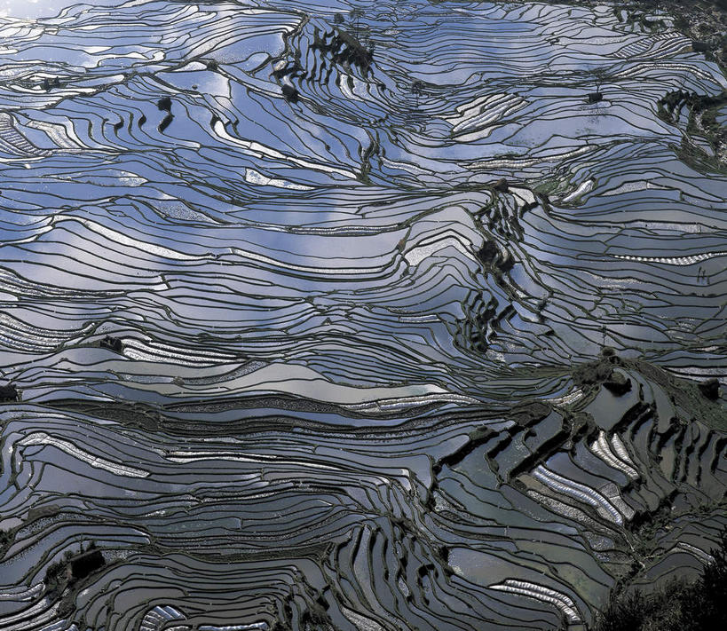 无人,农田,横图,俯视,航拍,室外,白天,旅游,度假,庄稼,梯田,农作物,石头,美景,山,山脉,中国,亚洲,阴影,曲折,弯曲,光线,纹路,石子,纹理,影子,景观,山峰,山峦,娱乐,云南,阳光,自然,群山,享受,休闲,景色,放松,蜿蜒,鸟瞰,自然风光,东亚,元阳,云南省,肌理,中华人民共和国,西南地区,滇,红河,红河州,红河哈尼族彝族自治州,哀牢山,元阳梯田,元阳县,石块,岩石,彩图,高角度拍摄,耕地,庄稼田,元阳哈尼族梯田