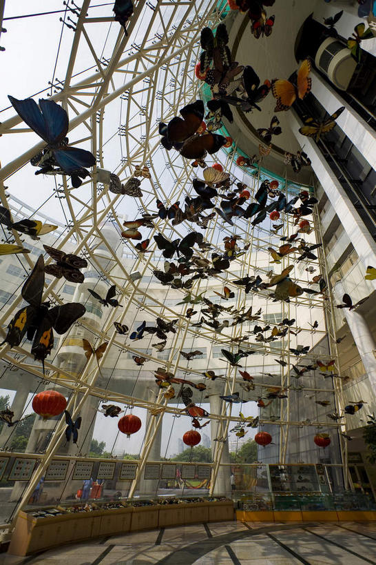 无人,竖图,室内,白天,仰视,旅游,度假,技术,窗户,标志建筑,地标,建筑,上海,中国,亚洲,许多,吊挂,悬挂,研究,装饰,科学,天窗,很多,教育,挂,娱乐,建设,浦东,玻璃窗,装饰品,排列,装饰物,享受,休闲,旅游胜地,放松,上海科技馆,展览,华丽,修饰,点缀,申,欣赏,科技馆,饰物,陈列,浦东新区,世纪大道,东亚,上海市,中华人民共和国,沪,华东地区,衬托,美观,雅致,雅观,摆列,彩图,低角度拍摄,科学技术馆,布列,分列