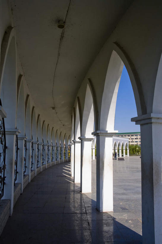 无人,竖图,室外,白天,正面,旅游,度假,植物,天花板,标志建筑,道路,地标,建筑,路,中国,亚洲,一排,许多,阴影,整齐,光线,影子,柱子,墙,小路,走道,走廊,过道,交通,很多,娱乐,建设,墙壁,墙面,树,树木,排列,蓝色,绿色,白色,蓝天,天空,阳光,自然,天,享受,休闲,旅游胜地,放松,生长,晴朗,成长,队列,东亚,宁夏,银川,万里无云,首府,中华人民共和国,西北地区,银川市,宁夏回族自治区,宁,晴空,晴空万里,彩图,兴庆,兴庆区,银川新月广场