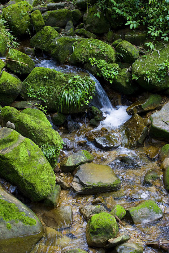 无人,竖图,俯视,室外,白天,旅游,度假,草地,草坪,河流,礁石,石头,美景,水,植物,台湾,中国,亚洲,阴影,光线,石子,影子,河水,景观,水流,娱乐,草,绿色,阳光,自然,享受,休闲,景色,放松,自然风光,东亚,嘉义,阿里山国家风景区,阿里山,港澳台,中华人民共和国,台湾省,嘉义市,礁,石块,岩石,彩图,高角度拍摄,台
