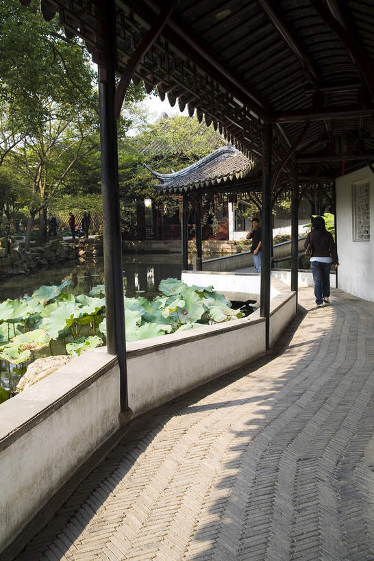 无人,家,栏杆,竖图,室外,白天,正面,旅游,度假,草地,草坪,名胜古迹,植物,标志建筑,地标,建筑,叶子,中国,亚洲,阴影,遗迹,光线,瓦片,影子,柱子,房屋,屋檐,屋子,围栏,走道,走廊,过道,荷叶,古迹,文物,娱乐,建设,古建筑,江苏,苏州,护栏,楼房,檐,住宅,草,树,树木,绿色,阳光,自然,享受,休闲,旅游胜地,放松,生长,成长,古文明,东亚,江苏省,苏州市,拙政园,中华人民共和国,华东地区,苏,莲叶,苏州园林,中国园林之母,叶,叶片,彩图,房子