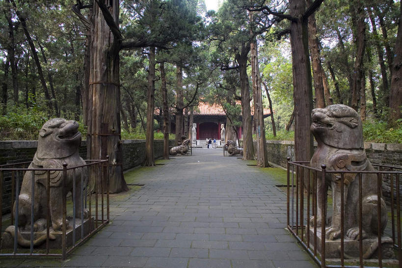 无人,家,栏杆,横图,室外,白天,正面,旅游,度假,树林,植物,标志建筑,道路,地标,建筑,路,哺乳动物,野生动物,狮子,雕塑,中国,亚洲,阴影,辟邪,艺术,装饰,光线,雕刻,雕像,影子,柱子,房屋,屋子,围栏,小路,交通,文化,娱乐,建设,山东,护栏,楼房,石雕,石板路,住宅,树,树木,绿色,阳光,自然,动物,工艺品,石狮,祈祷,两只,享受,休闲,墓地,健康,旅游胜地,放松,许愿,生长,成长,纪念,祈求,美术,坟墓,陵墓,主题,凶猛,陈列,坟场,东亚,曲阜,曲阜市,山东省,中华人民共和国,华东地区,功能,美学,驱邪,祛邪,避邪,鲁,守护神,残暴,平安,凶残,彩图,房子,孔林,圣林