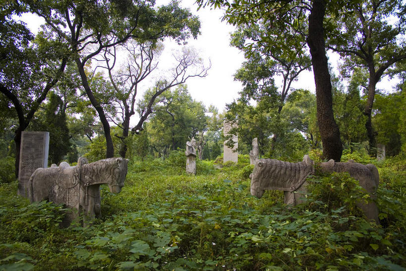 无人,横图,室外,白天,正面,旅游,度假,草地,草坪,石头,美景,植物,雕塑,中国,亚洲,阴影,艺术,装饰,光线,雕刻,雕像,石子,影子,景观,娱乐,山东,草,树,树木,绿色,天空,阳光,自然,工艺品,天,享受,休闲,景色,放松,生长,成长,纪念,美术,自然风光,主题,陈列,东亚,曲阜,曲阜市,山东省,中华人民共和国,华东地区,功能,美学,鲁,石块,岩石,彩图
