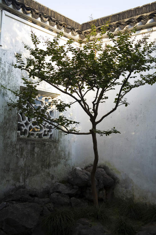 无人,家,竖图,室外,白天,正面,旅游,度假,石头,名胜古迹,山,植物,标志建筑,道路,地标,建筑,路,中国,亚洲,阴影,遗迹,艺术,光线,石子,影子,手工艺品,房屋,屋子,山峰,小路,交通,山峦,古迹,文化,文物,娱乐,建设,古建筑,江苏,苏州,楼房,住宅,树,树木,绿色,天空,阳光,自然,工艺品,天,享受,休闲,假山,旅游胜地,放松,生长,成长,高雅,古文明,东亚,江苏省,苏州市,拙政园,中华人民共和国,华东地区,苏,自信心,品位,苏州园林,中国园林之母,石块,岩石,彩图,房子,小山