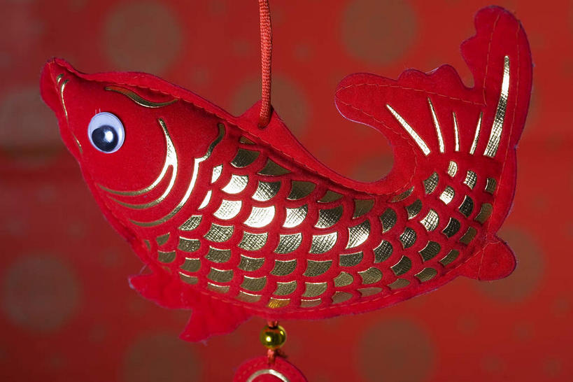 无人,横图,室内,特写,白天,侧面,鲤鱼,静物,艺术,鱼,手工艺品,文化,水产,鱼类,一个,红色,工艺品,中国结,单个,吉祥,高雅,水生动物,饰物,水生物,自信心,品位,年年有余,美梦成真,事业有成,鲤子,鲤拐子,彩图,全身,淡水生物,河鲜