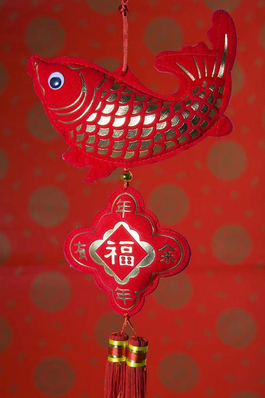 无人,竖图,室内,特写,白天,正面,鲤鱼,静物,艺术,鱼,手工艺品,文化,水产,鱼类,一个,红色,工艺品,中国结,单个,吉祥,高雅,水生动物,饰物,水生物,自信心,品位,年年有余,美梦成真,事业有成,鲤子,鲤拐子,彩图,全身,淡水生物,河鲜