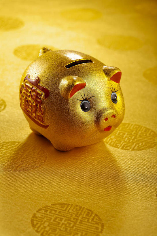 无人,站,竖图,俯视,室内,特写,白天,桌子,猪,静物,一头,阴影,反射,标志,文字,影子,字符,标识,一个,动物,容器,站着,金色,汉字,储蓄罐,器皿,家畜,储蓄,存钱,金融,理财,牲畜,经济,单个,资金,存钱罐,中文,存款,流通,贸易,贮钱罐,储钱罐,扑满,国文,华文,站立,彩图,高角度拍摄,全身,小猪存钱罐