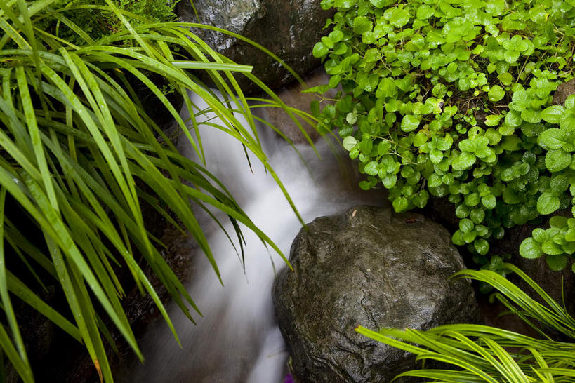 无人,横图,俯视,室外,特写,白天,长时间曝光,草地,草坪,河流,石头,美景,沙滩,水,植物,沙子,石子,河岸,河水,河滩,景观,水流,青苔,苔藓,沙地,草,绿色,自然,景色,自然风光,曝光,石块,岩石,彩图,高角度拍摄