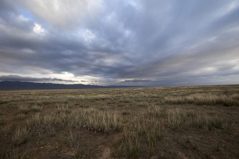 无人,横图,室外,白天,正面,旅游,度假,草地,草原,草坪,美景,日落,植物,青海湖,中国,亚洲,枯萎,荒野,景观,旷野,晚霞,霞光,落日,热带,娱乐,草,自然,黄昏,享受,休闲,景色,彩霞,放松,死亡,自然风光,原野,荒原,东亚,青海,青海省,中华人民共和国,西北地区,青,夕照,薄暮,枯败,咸水湖,夕阳,彩图,傍晚,斜阳,二郎剑风景区