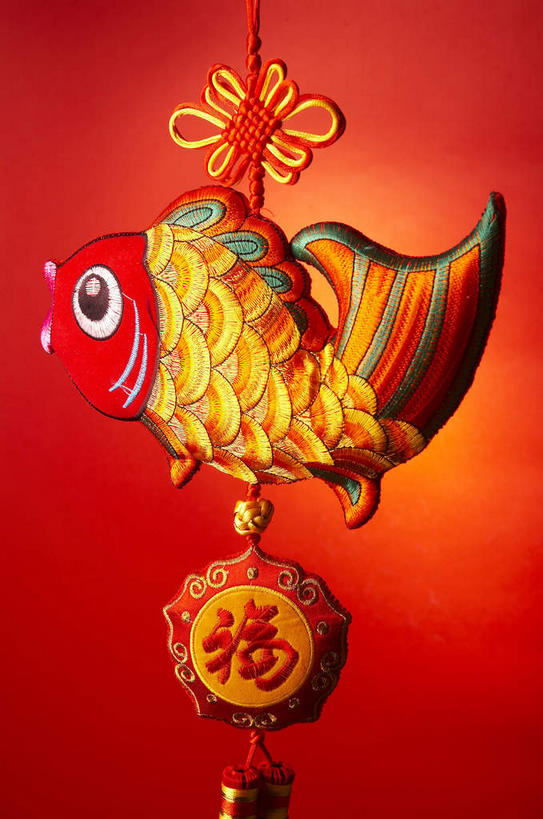 无人,竖图,室内,特写,白天,正面,鲤鱼,静物,春节,一条,红色背景,节日,庆祝,鱼,标志,文字,字符,文化,标识,水产,鱼类,红色,庆典,汉字,摄影,影棚,纪念,吉祥,中文,摄影棚,水生动物,水生物,国文,华文,年年有余,美梦成真,事业有成,鲤子,鲤拐子,彩图,全身,影棚拍摄,拍摄,淡水生物,河鲜