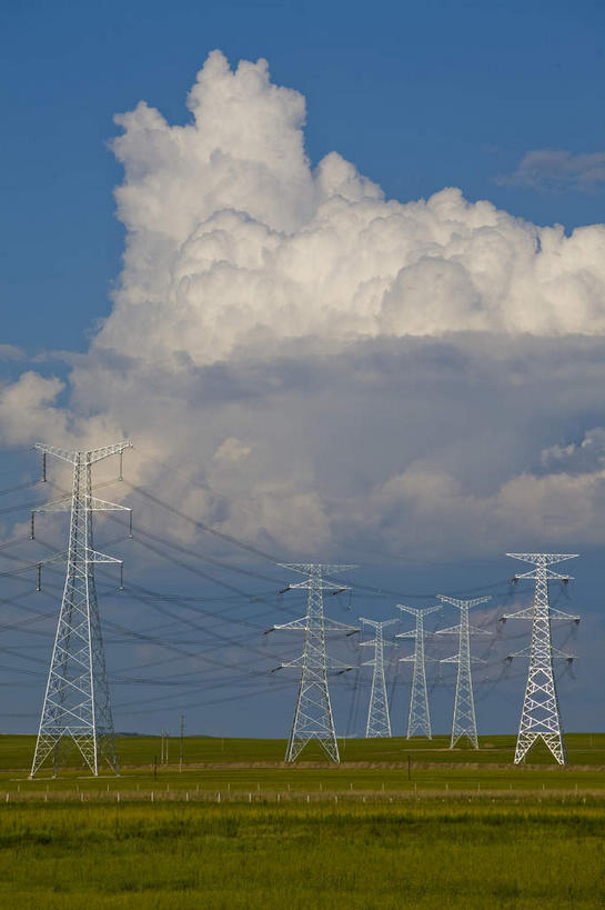无人,竖图,室外,白天,正面,旅游,度假,草地,草原,美景,植物,中国,亚洲,许多,阴影,电力,光线,钢材,电缆,电线,影子,支架,景观,旷野,云,云朵,很多,云彩,娱乐,电塔,草,蓝色,绿色,白云,蓝天,天空,阳光,自然,天,享受,休闲,景色,放松,蒙,能源,晴朗,支撑,资源,自然风光,原野,供电设备,东亚,高压电塔,内蒙古,高压输电线,中华人民共和国,华北地区,高压电线塔,高压塔,内蒙古自治区,呼伦贝尔,呼伦贝尔市,晴空,彩图