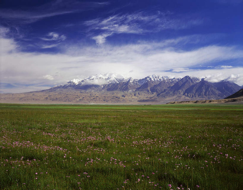 无人,横图,室外,白天,正面,旅游,度假,草地,草坪,石头,美景,山,山脉,树林,峡谷,雪,雪山,植物,大雪,中国,亚洲,阴影,光线,纹路,石子,纹理,影子,冰,积雪,景观,山峰,雪景,云,云朵,冬季,冬天,山谷,山峦,云彩,娱乐,草,树,树木,蓝色,绿色,白云,蓝天,天空,阳光,自然,群山,天,享受,休闲,景色,放松,寒冷,生长,晴朗,成长,连绵,冰冷,绵延,岩层,自然风光,山岭,东亚,新疆,帕米尔高原,肌理,中华人民共和国,严寒,冰凉,酷寒,凛冽,凛凛,极冷,新疆维吾尔自治区,西北地区,克孜勒苏,克孜勒苏柯尔,克孜勒苏柯尔克孜自治州,联贯,慕士塔格峰,石块,岩石,晴空,彩图,塔什库尔干塔吉克自治县,阿克陶,阿克陶县,喀什地区,塔什库尔,慕士塔格山,新