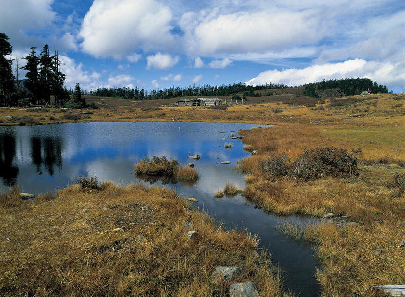 无人,横图,室外,白天,正面,旅游,度假,湖,湖泊,美景,森林,山,山脉,树林,水,植物,香格里拉,中国,亚洲,阴影,枯萎,光线,影子,湖面,景观,山峰,水流,水面,云,云朵,枯草,山峦,云彩,娱乐,迪庆,云南,草,树,树木,黄色,蓝色,绿色,白云,倒影,蓝天,天空,阳光,自然,湖水,群山,天,享受,休闲,景色,放松,生长,晴朗,成长,倒映,自然风光,东亚,中甸,迪庆藏族自治州,云南省,中华人民共和国,西南地区,滇,迪庆州,反照,香格里拉县,晴空,彩图,千湖山