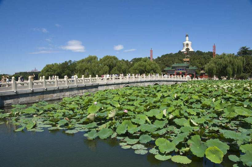 无人,公园,栏杆,横图,室外,白天,正面,旅游,度假,湖,湖泊,名胜古迹,树林,水,植物,标志建筑,地标,建筑,桥梁,叶子,北海公园,北京,中国,亚洲,阴影,节日,遗迹,光线,影子,湖面,水流,水面,云,云朵,围栏,塔,桥,荷叶,首都,云彩,古迹,文化,文物,娱乐,建设,古建筑,石桥,宝塔,护栏,白塔,佛塔,树,树木,蓝色,绿色,白云,蓝天,天空,阳光,自然,湖水,天,祈祷,享受,休闲,健康,旅游胜地,放松,许愿,宗教,佛教,信仰,生长,晴朗,成长,纪念,人行桥,祈求,古文明,东亚,中华人民共和国,北京市,京,北平,华北地区,莲叶,释教,北京北海公园,浮图,浮屠,平安,叶,叶片,晴空,彩图,塔婆,浮图塔,浮头,佛图,北海白塔,琼华岛