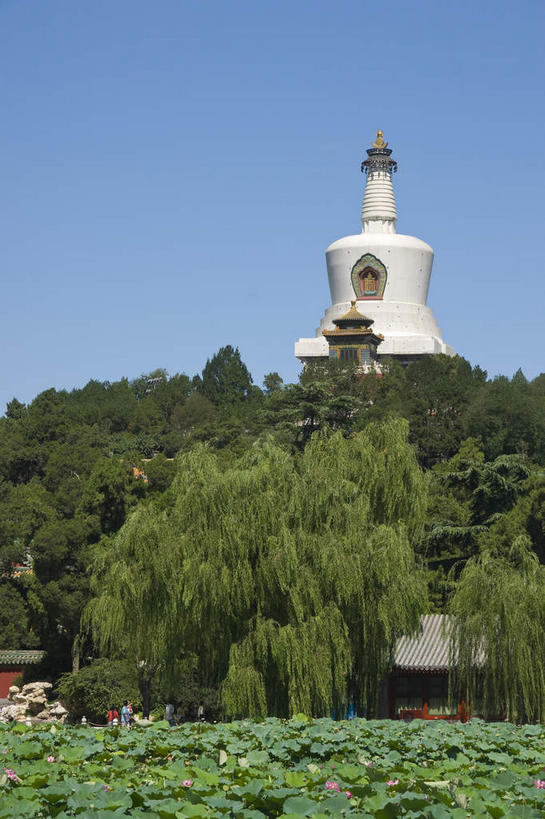 无人,公园,栏杆,竖图,室外,白天,正面,旅游,度假,湖,湖泊,名胜古迹,树林,水,植物,标志建筑,地标,建筑,桥梁,叶子,北海公园,北京,中国,亚洲,阴影,节日,遗迹,光线,影子,湖面,水流,水面,围栏,塔,桥,荷叶,首都,古迹,文化,文物,娱乐,建设,古建筑,石桥,宝塔,护栏,白塔,佛塔,树,树木,蓝色,绿色,蓝天,天空,阳光,自然,湖水,天,祈祷,享受,休闲,健康,旅游胜地,放松,许愿,宗教,佛教,信仰,生长,晴朗,成长,纪念,人行桥,祈求,古文明,东亚,万里无云,中华人民共和国,北京市,京,北平,华北地区,莲叶,释教,北京北海公园,浮图,浮屠,平安,叶,叶片,晴空,晴空万里,彩图,塔婆,浮图塔,浮头,佛图,北海白塔,琼华岛