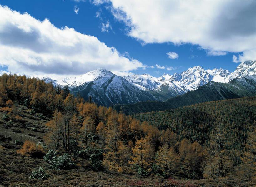 无人,横图,室外,白天,正面,旅游,度假,石头,美景,森林,山,山脉,树林,峡谷,雪,雪山,植物,大雪,中国,亚洲,阴影,光线,纹路,石子,纹理,影子,冰,积雪,景观,山峰,雪景,云,云朵,冬季,冬天,山谷,山峦,云彩,娱乐,德钦,迪庆,云南,树,树木,蓝色,绿色,白云,蓝天,天空,阳光,自然,群山,天,享受,休闲,景色,放松,寒冷,生长,晴朗,成长,连绵,冰冷,绵延,岩层,自然风光,山岭,东亚,迪庆藏族自治州,云南省,德钦县,白马雪山,肌理,中华人民共和国,西南地区,严寒,冰凉,酷寒,凛冽,凛凛,极冷,滇,迪庆州,联贯,石块,岩石,晴空,彩图,白马雪山国家级自然保护区,白芒雪山,白茫雪山