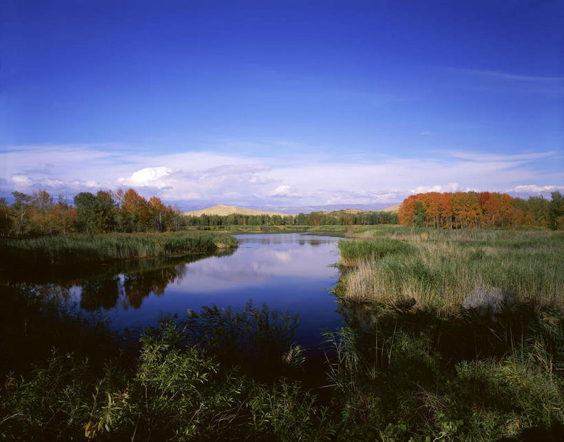 无人,横图,室外,白天,正面,旅游,度假,草地,草坪,湖,湖泊,美景,山,山脉,水,植物,棕榈树,叶子,中国,亚洲,阴影,光线,影子,湖面,景观,山峰,水流,水面,云,云朵,绿叶,山峦,云彩,娱乐,草,树,树木,蓝色,绿色,白云,倒影,蓝天,天空,阳光,自然,湖水,群山,天,享受,休闲,嫩叶,景色,放松,生长,晴朗,成长,倒映,自然风光,东亚,棕榈叶,新疆,白沙湖,阿勒泰地区,伊犁,中华人民共和国,新疆维吾尔自治区,西北地区,阿勒泰,阿勒泰市,伊犁哈萨克自治州,反照,叶,叶片,晴空,棕树,棕榈,彩图,哈巴河,哈巴河县,新