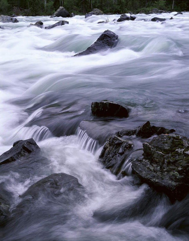 无人,竖图,俯视,室外,白天,旅游,度假,河流,石头,美景,水,中国,亚洲,石子,河水,景观,水流,青苔,苔藓,娱乐,自然,享受,休闲,景色,放松,自然风光,东亚,新疆,阿勒泰地区,布尔津县,伊犁,中华人民共和国,新疆维吾尔自治区,西北地区,阿勒泰,阿勒泰市,伊犁哈萨克自治州,石块,岩石,彩图,高角度拍摄,布尔津,哈巴河,哈巴河县,喀纳斯综合自然景观保护区,新