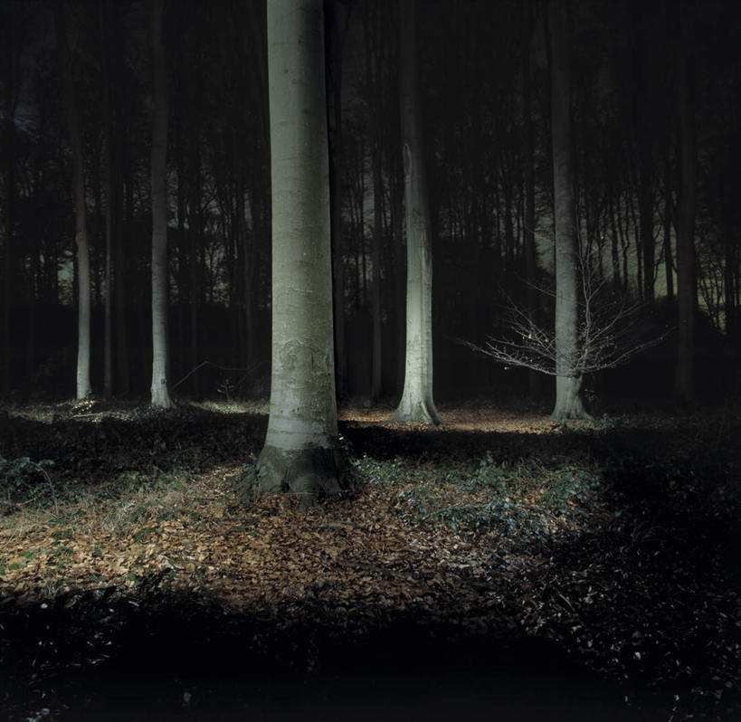 无人,横图,室外,夜晚,正面,旅游,度假,草地,草坪,美景,树林,植物,道路,路,比利时,欧洲,景观,小路,交通,首都,娱乐,草,树,树木,绿色,自然,享受,休闲,景色,放松,生长,成长,西欧,自然风光,布鲁塞尔,比利时王国,彩图