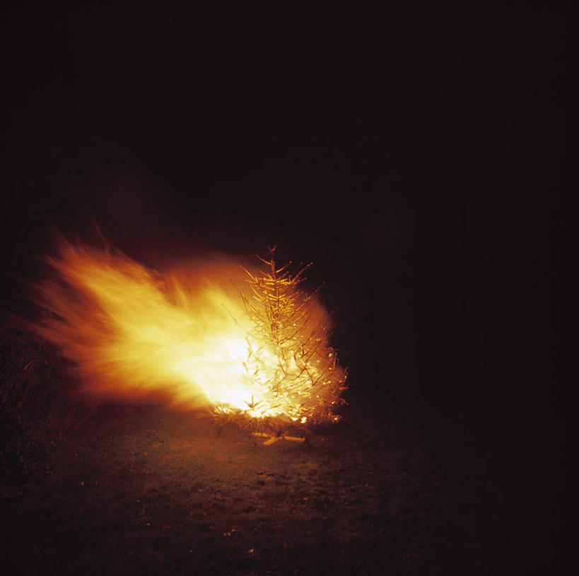 无人,横图,室外,夜晚,正面,热情,美景,树林,植物,火,比利时,欧洲,火焰,景观,首都,燃烧,树,树木,绿色,自然,景色,生长,成长,西欧,火灾,灾难,自然风光,布鲁塞尔,比利时王国,劫难,磨难,灾祸,森林火灾,彩图,灾害