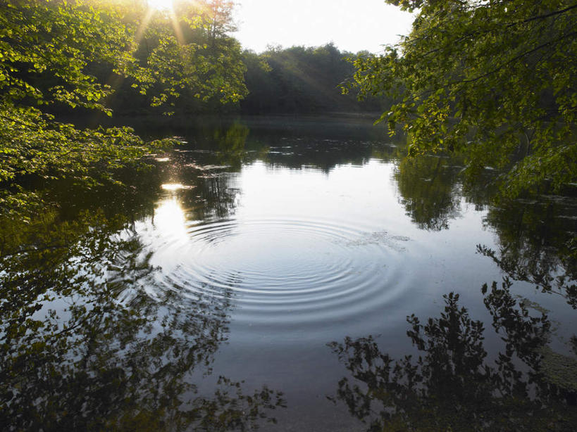 无人,横图,室外,白天,正面,旅游,度假,湖,湖泊,美景,树林,水,植物,比利时,欧洲,阴影,波纹,光线,影子,湖面,景观,水流,水面,涟漪,首都,娱乐,树,树木,蓝色,绿色,蓝天,水纹,天空,阳光,自然,波浪,湖水,天,享受,休闲,景色,放松,生长,晴朗,成长,西欧,自然风光,布鲁塞尔,万里无云,水晕,比利时王国,晴空,晴空万里,彩图