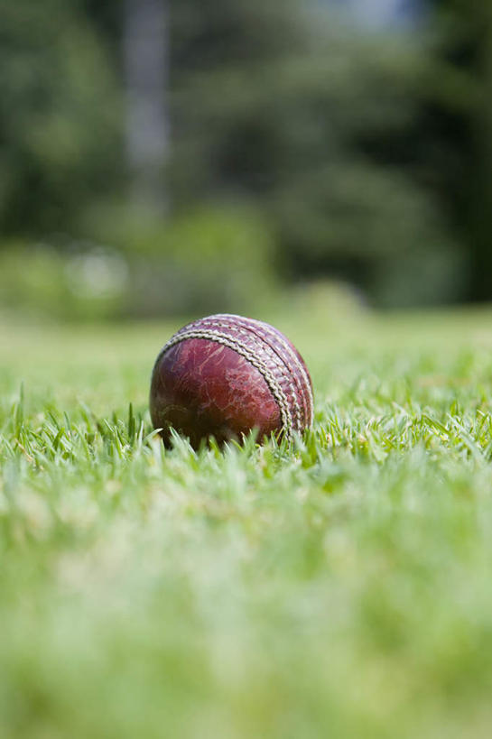 无人,竖图,室外,特写,白天,正面,草地,草坪,植物,阴影,朦胧,模糊,光线,影子,运动器械,球,草,树,树木,一个,绿色,阳光,自然,健身器械,生长,单个,成长,健身器材,板球,彩图,运动器材