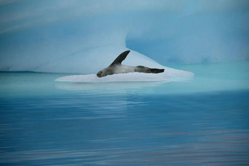 无人,横图,室外,白天,正面,旅游,度假,南极,冰山,海浪,海洋,美景,山,冰,景观,浪花,山峰,云,云朵,山峦,云彩,娱乐,冰川,蓝色,白云,蓝天,天空,自然,海水,天,享受,休闲,景色,放松,寒冷,晴朗,冰冷,自然风光,南极洲,冰河,海景,严寒,冰凉,酷寒,凛冽,凛凛,极冷,南极大陆,南极地区,南极区,南极圈,第七大陆,大海,风浪,海,海水的波动,近岸浪,涌浪,晴空,彩图