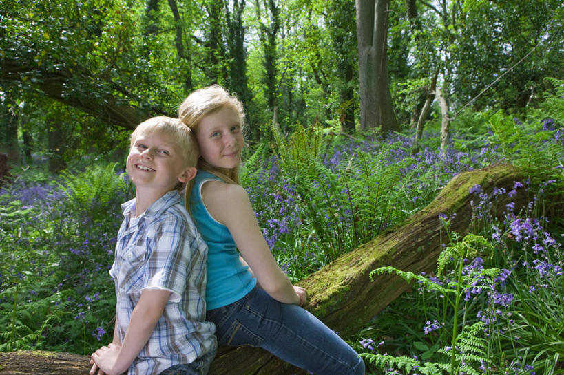 西方人,儿童,两个人,家庭,坐,笑,微笑,露齿笑,横图,室外,白天,侧面,纯洁,安全,植物,欧洲,欧洲人,服装,盛开,风铃草,花蕾,扭头,依靠,注视,休闲装,花,花瓣,花朵,鲜花,树,树木,小孩,衣服,绿色,自然,花苞,花蕊,观察,看,倚靠,转头,背靠背,休闲,温暖,温馨,一家人,休闲服,可爱,童年,童趣,背对背,服饰,生长,成长,观看,和睦,察看,关注,童真,烂漫,无邪,访问,蓝铃花,蓝铃草,天真,信任,男孩,男人,男性,女孩,女人,女性,白种人,坐着,半身,彩图,融洽,男生,女生