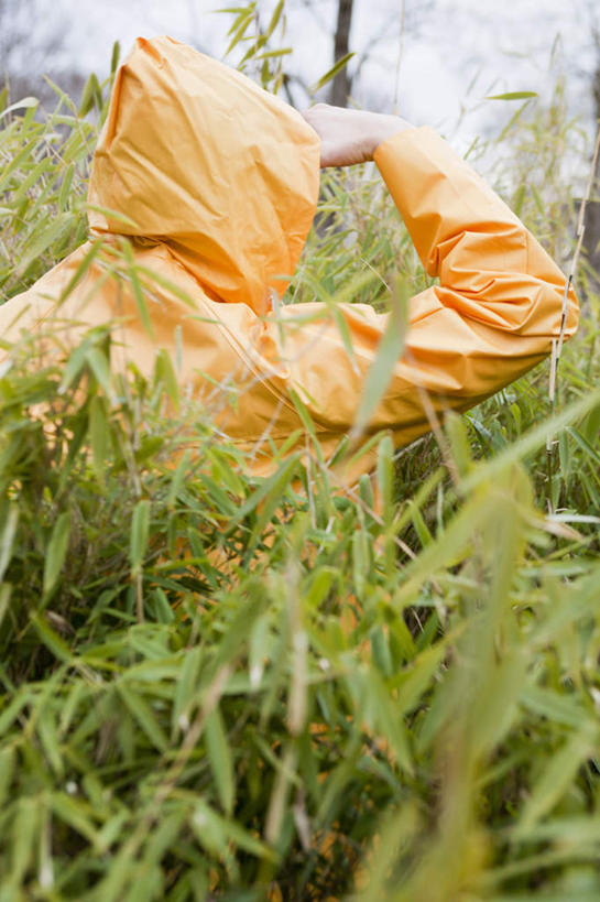 西方人,一个人,站,举,竖图,室外,白天,植物,欧洲,欧洲人,仅一个男性,仅一个人,仅一个中年男性,树,树木,背面,黄色,绿色,自然,托,站着,生长,成长,保暖,防寒,御寒,雨衣,透气,防水,冲锋服,冲锋衣,防潮,户外用品,男人,男性,中年男性,白种人,举起,举手,举着,向上举,向上伸,向上托,站立,半身,彩图